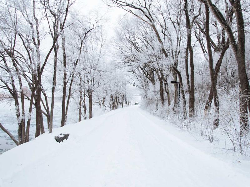 10 Data-Driven Ways to Implement your Branding